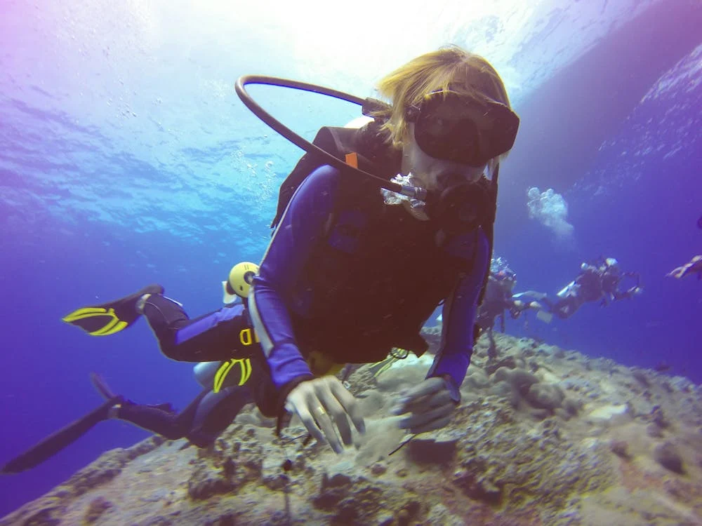 Duiken Sint Maarten